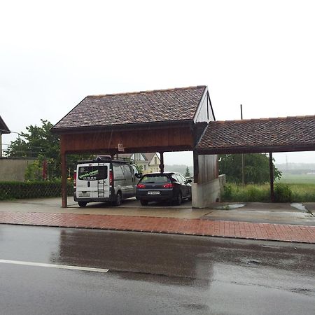Au Coeur Du Vignoble Sur Bursins Bed & Breakfast Exterior foto