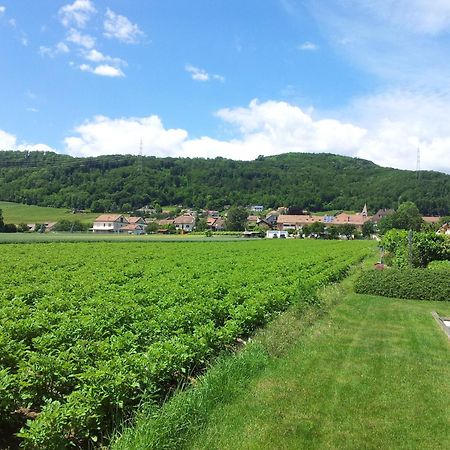 Au Coeur Du Vignoble Sur Bursins Bed & Breakfast Exterior foto