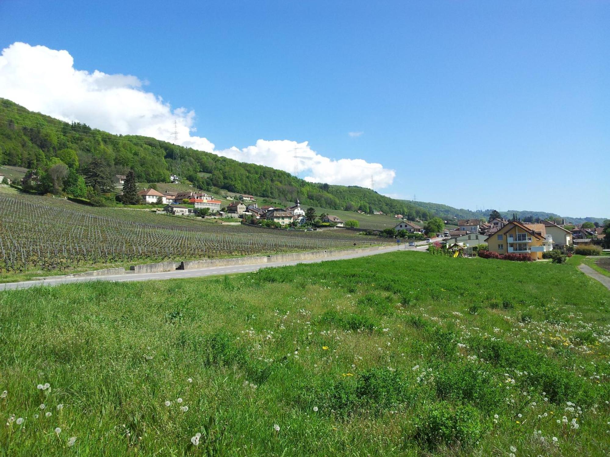 Au Coeur Du Vignoble Sur Bursins Bed & Breakfast Exterior foto